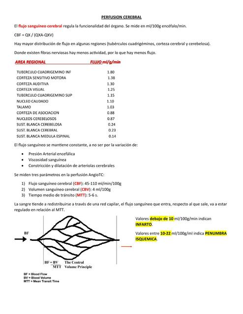 Perfusion Cerebral Celeste Codutti UDocz