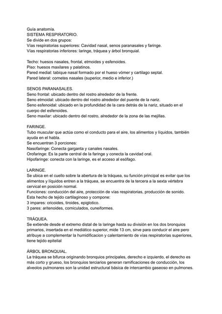 Guia Anatomia 3P Barbara Robledo UDocz