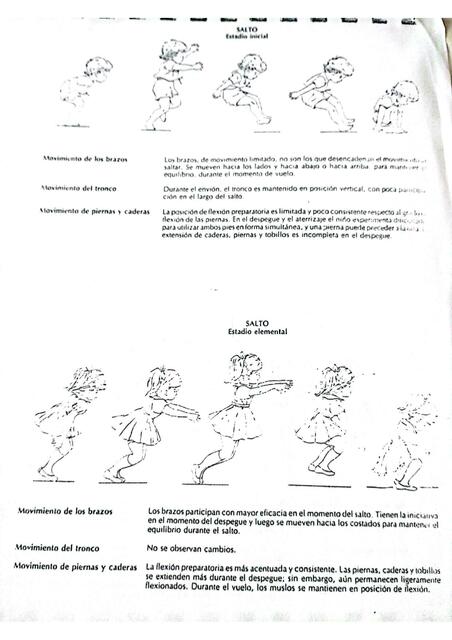 Patrones Integrales 5 Isabella UDocz