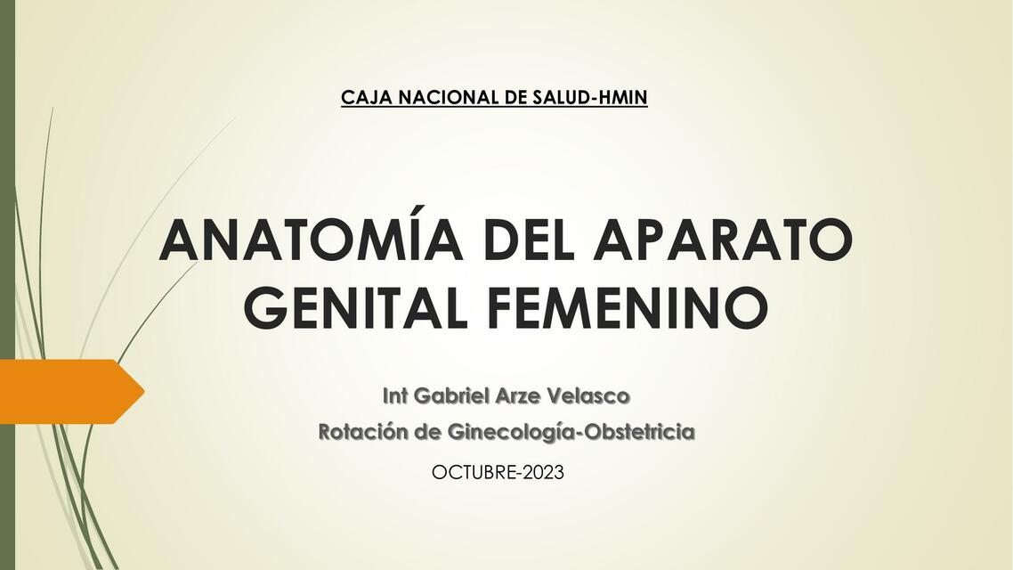 ANATOMIA FEMENINA Gabriel Arze Velasco UDocz