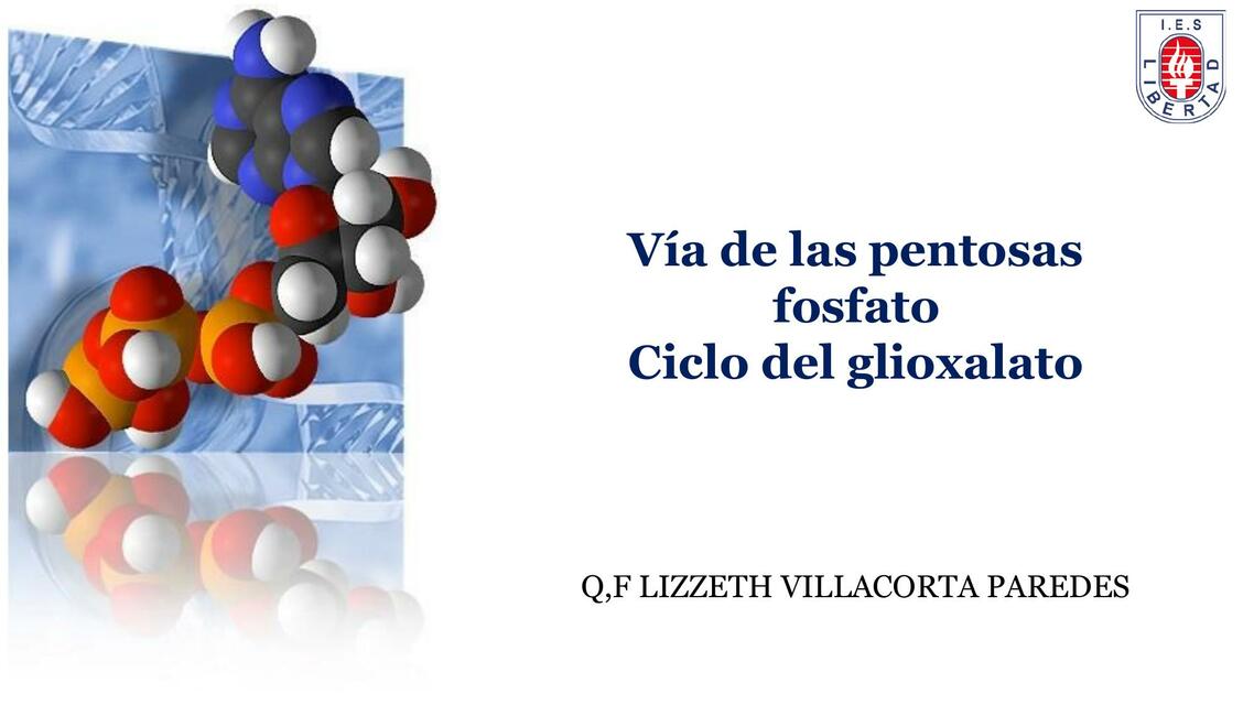 Ciclo De Las Pentosas Fosfato Transporte De Electr Botica Udocz