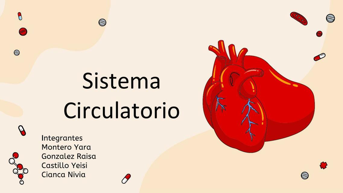 Sistema circulatorio yisem González uDocz