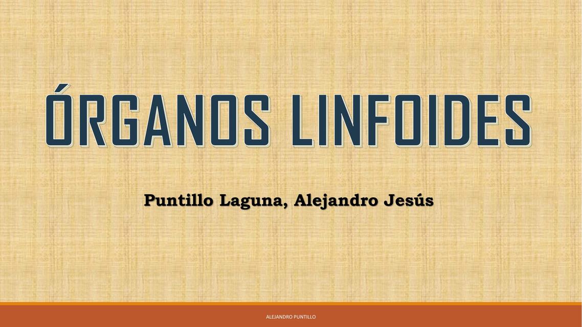 HISTOLOGÍA DE LOS ÓRGANOS LINFOIDES Alejandro Puntillo uDocz