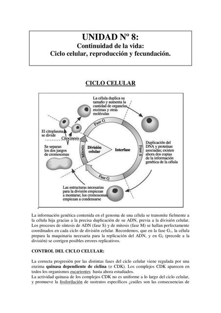 Unidad N Ricardo Marquez Udocz