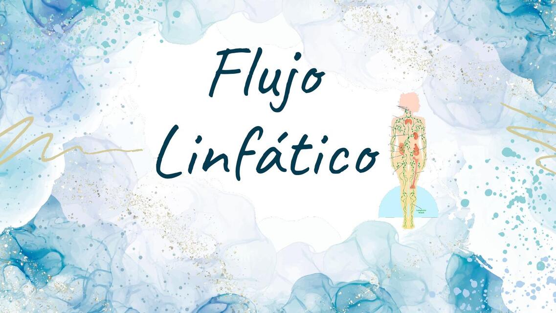 Flujo Linf Tico G Udocz