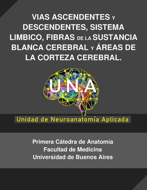 CIRCUITO VÍAS ASCENDENTES Y DESCENDENTES SITEMA L Ítalo uDocz