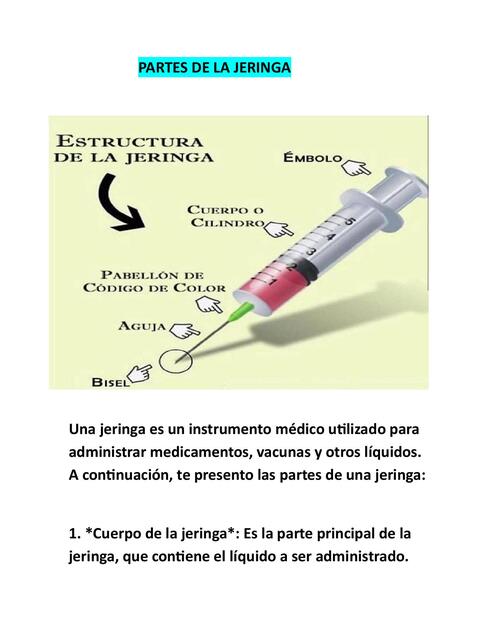 Partes De La Jeringa Aura Ester Per Z Rada Udocz