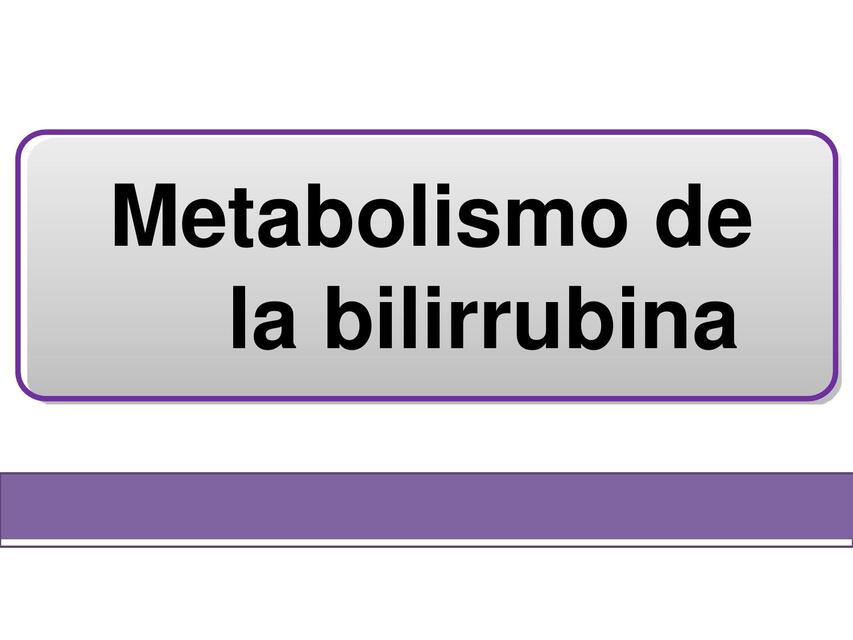 Metabolismo De La Bilirrubina Yrianna Batista UDocz