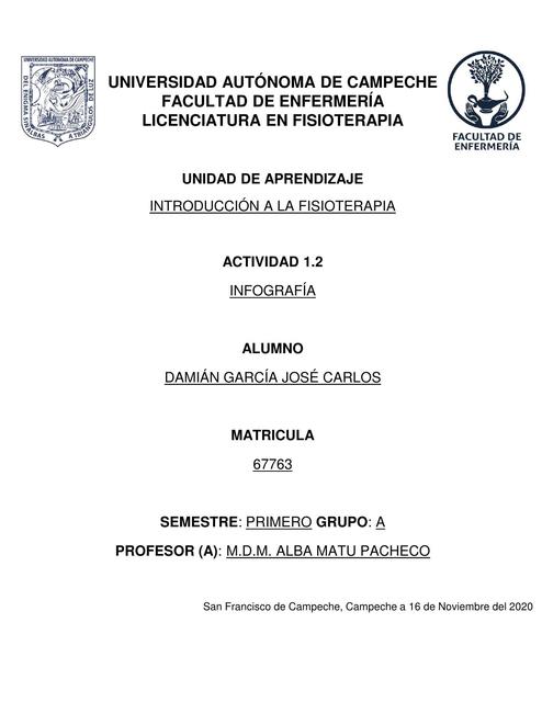 Infografia De Las Funciones Y Campos De Actuacion De La Fisioterapia