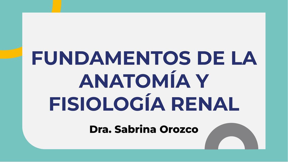 Anatomia Y Fisiologia Renal Sabrina Sutfin Udocz