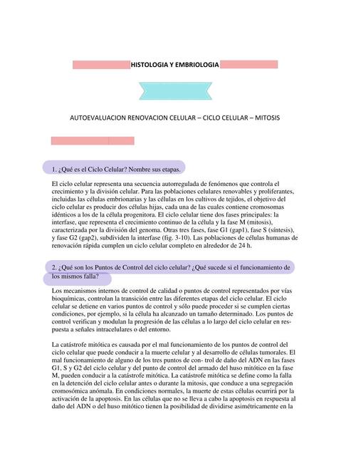 Renovaci N Del Ciclo Celular Mitosis Meiosis Lau Palacio Udocz