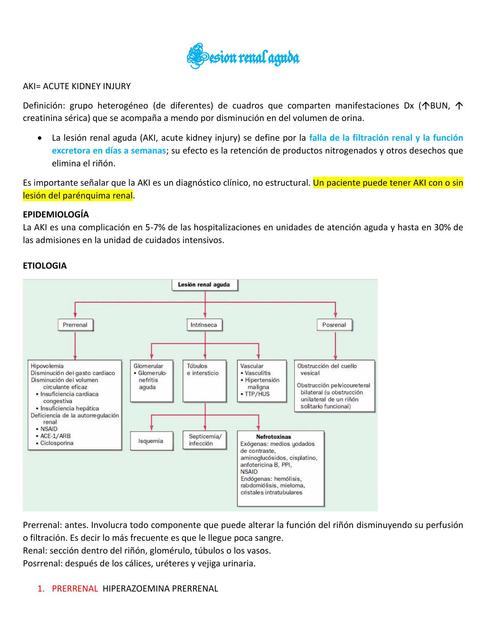 Insuficiencia renal aguda y crónica Angélica Esperanza Yoj uDocz