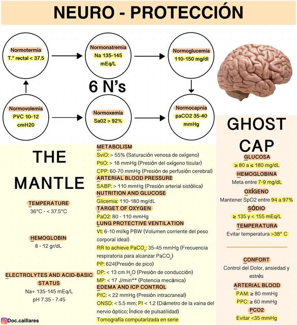 NEUROPROTECCIÓN Dr Boris Moises Caillares Montaño uDocz