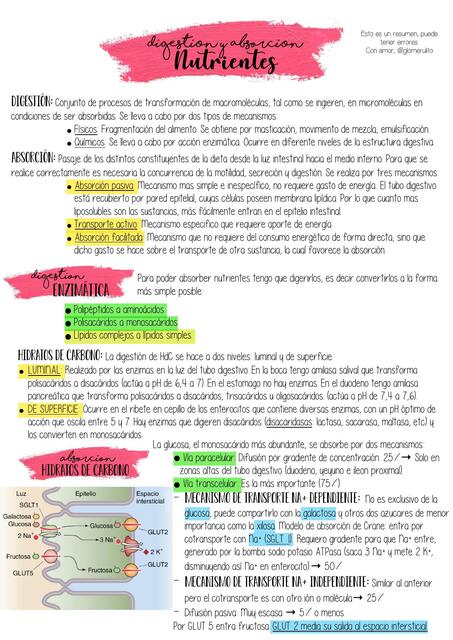 Digestión y absorción Angel Luis Lukashevich Sandoval uDocz