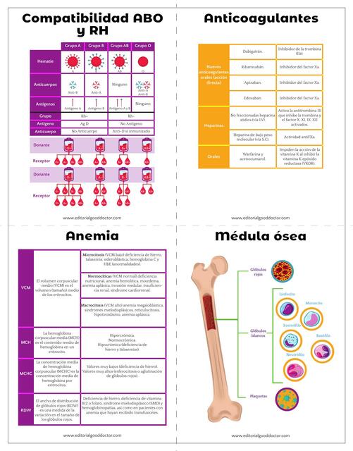 8 Hematologia Noelia Lara UDocz