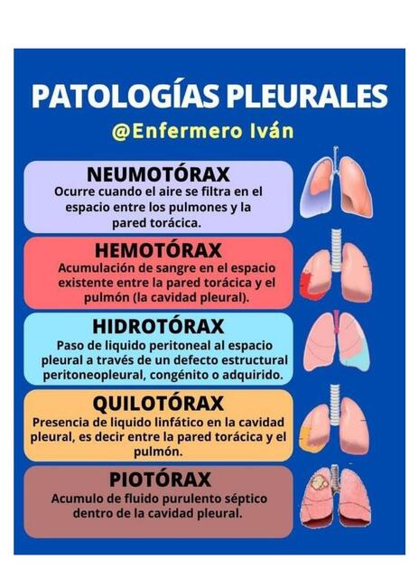 Patolog A Pulmonar Ricardo Udocz