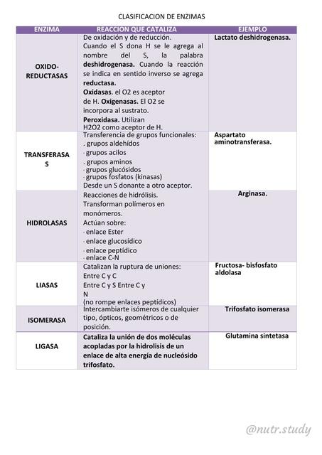 clasificacion de enzimas Regulación enzimática Bioquímica uDocz