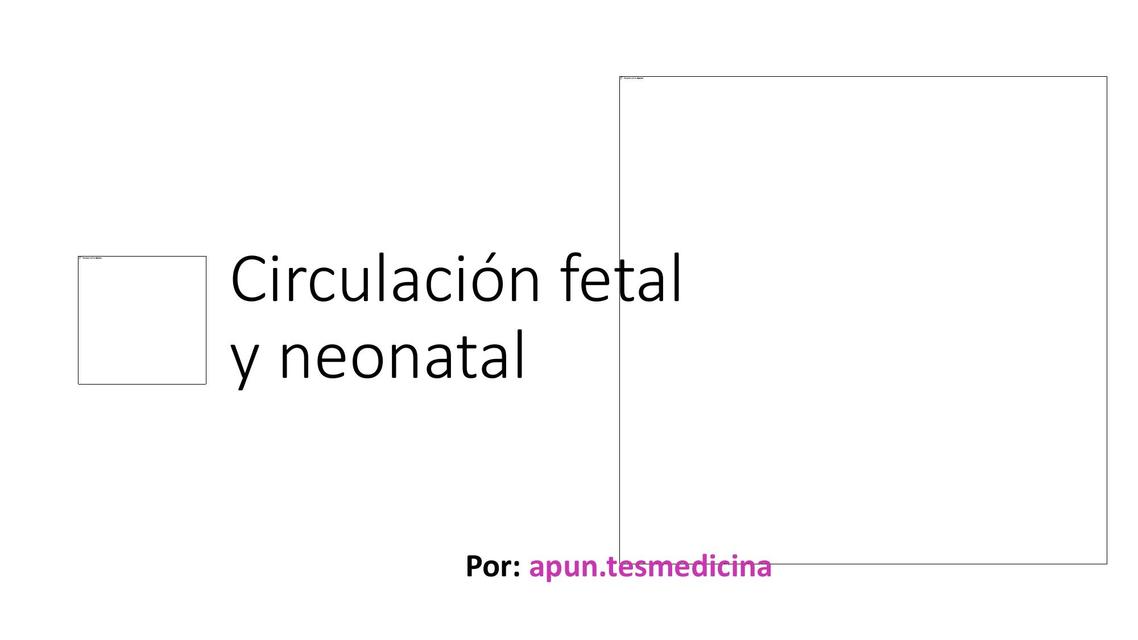 Res Menes De Circulaci N Fetal Descarga Apuntes De Circulaci N Fetal