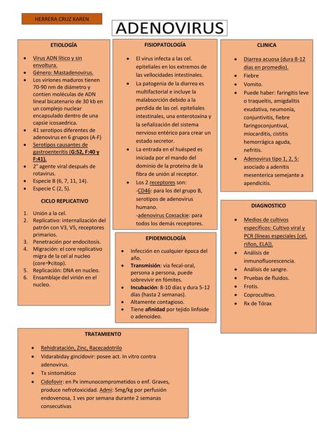 Adenovirus Salud Apuntes De Medicina UDocz