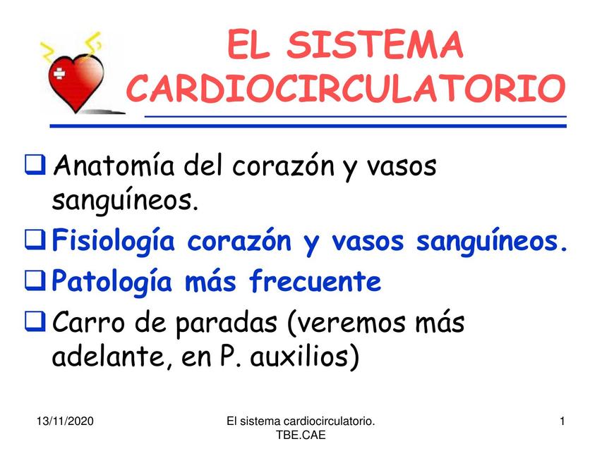 Cardiocirculatorio Fisio Y Patolog A Cristina Martin Udocz