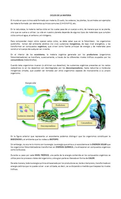 Ciclos De La Materia O Ciclos Biogeoqu Micos Carolyn Trochez Udocz