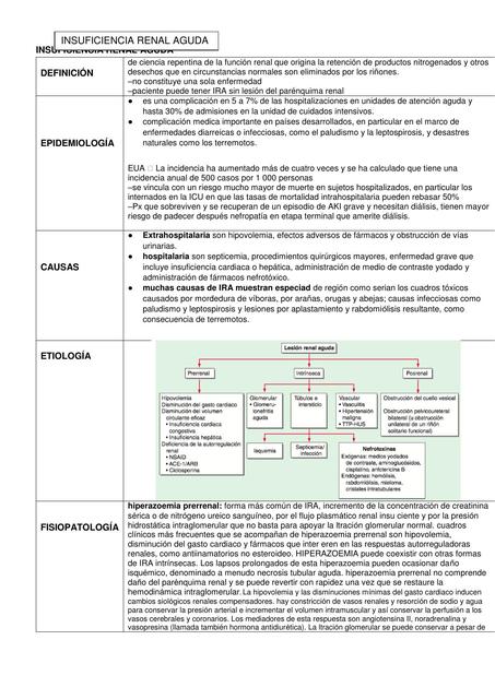 INSUFICIENCIA RENAL AGUDA HARRISON Medico Cool UDocz