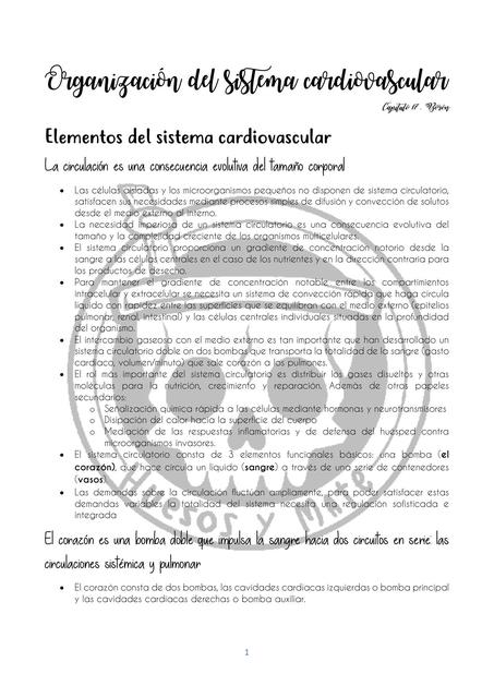 Organización del sistema cardiovascular Rvinsh Shcn uDocz