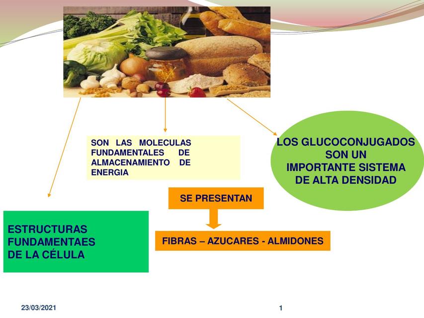 Carbohidratos SANDIA2232 UDocz