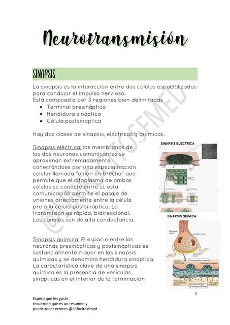 Sinapsis Y Neurotransmisores Linfocitos Fmed UDocz