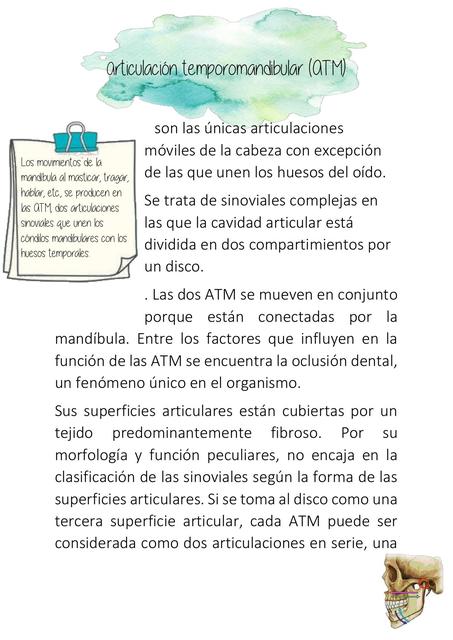 Resumen Articulación Temporomandibular ATM El hada de los dientes