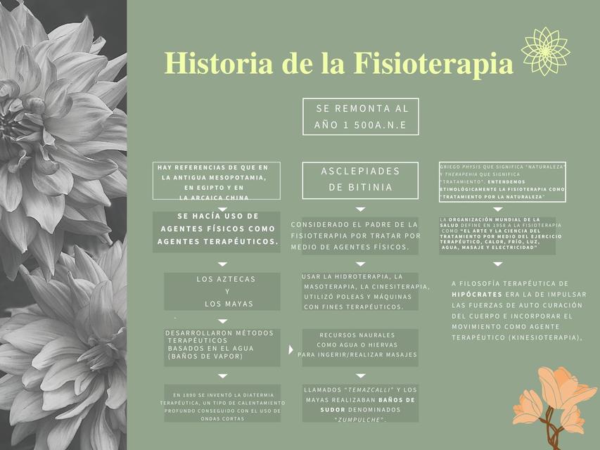 Fisioterapia UDocz