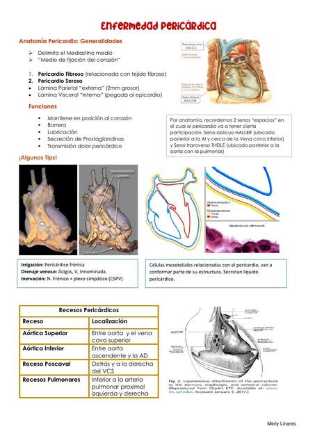 Enfermedad Pericárdica Sabiduría Médica uDocz