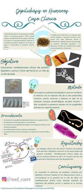 Dipilidiasis En Humanos Caso Cl Nico Med Cuore Udocz