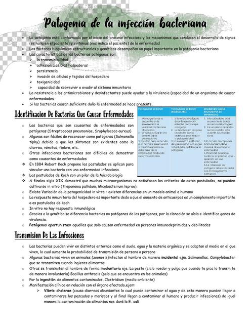 Patogenia De La Infecci N Bacteriana Damaris Quispe Paredes Udocz