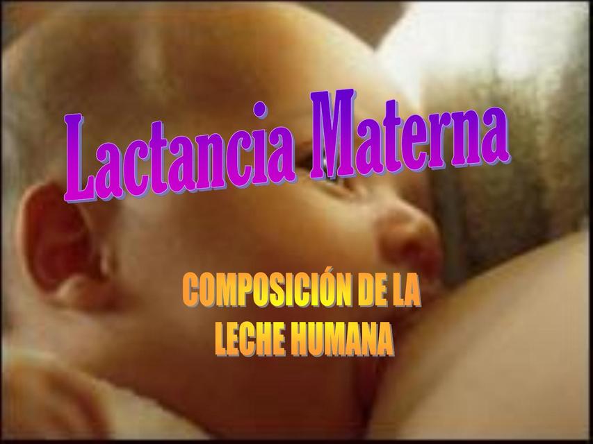 Composicion De La Leche Humana Lactancia Materna Dra Xmed