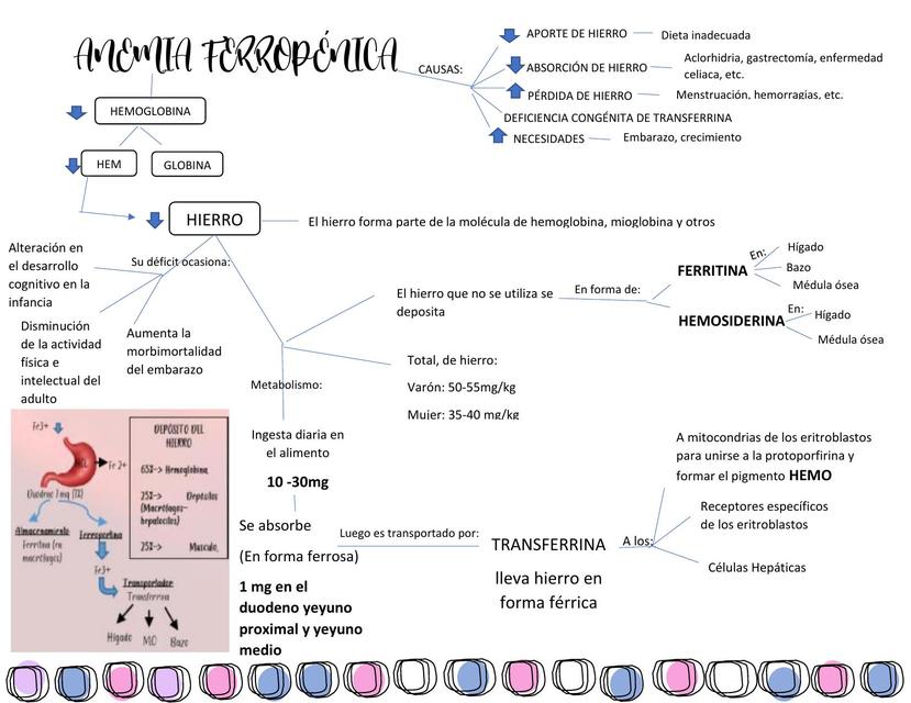 Anemia Ferrop Nica Anani Ayauja Udocz