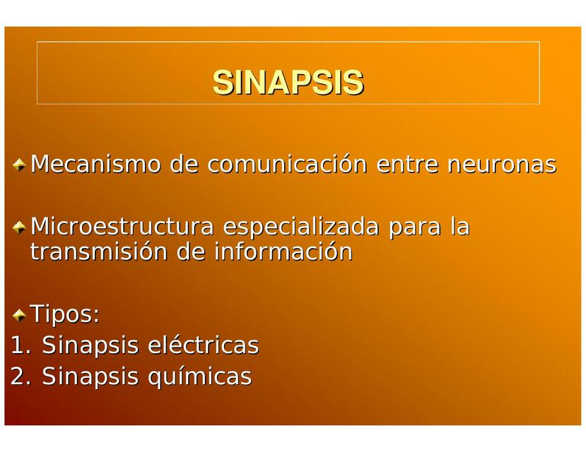 Sinapsis y Neurotransmisores Belén Szewaga uDocz