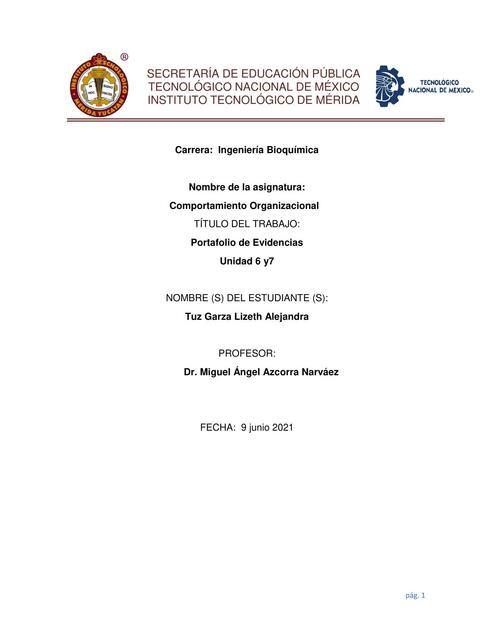 Conflicto Y Negociaci N Alejandra Garza Udocz