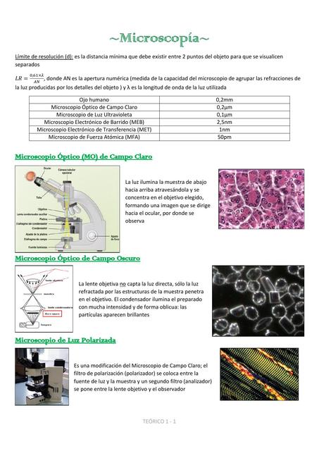 AeH 1 Microscopía Técnicas Histológicas Agus uDocz