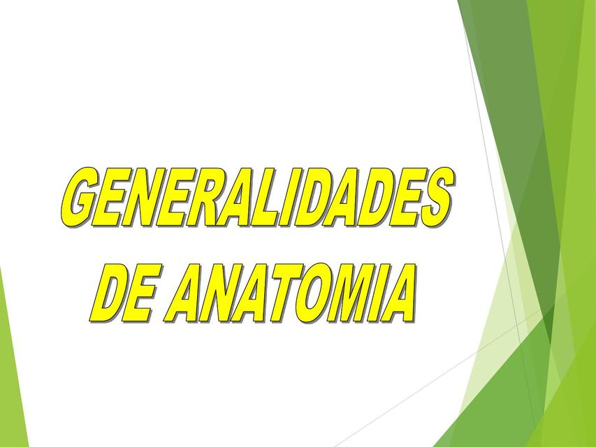 Generalidades de anatomía Tiroxina Med uDocz