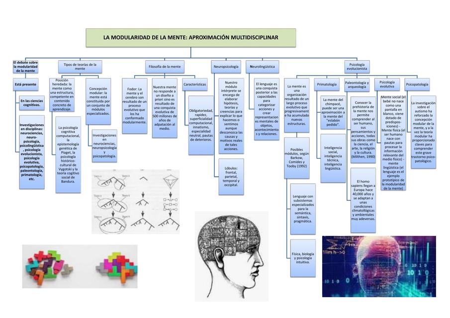 La Modularidad De La Mente Angelll Sss Udocz