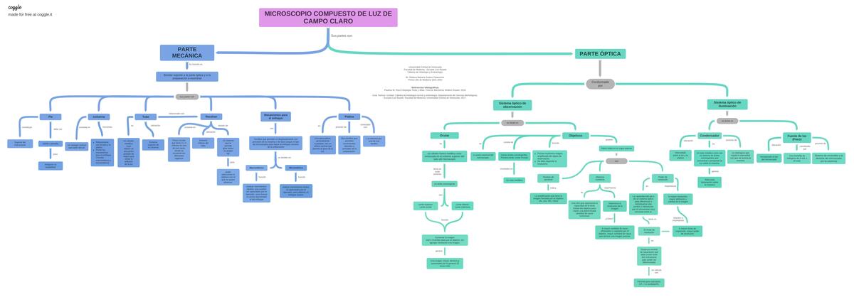 Esquema Partes del Microscopio de luz Rebeca Suárez uDocz
