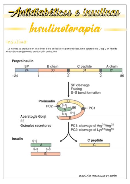 Antidiab Ticos E Insulina Medicipedia Udocz