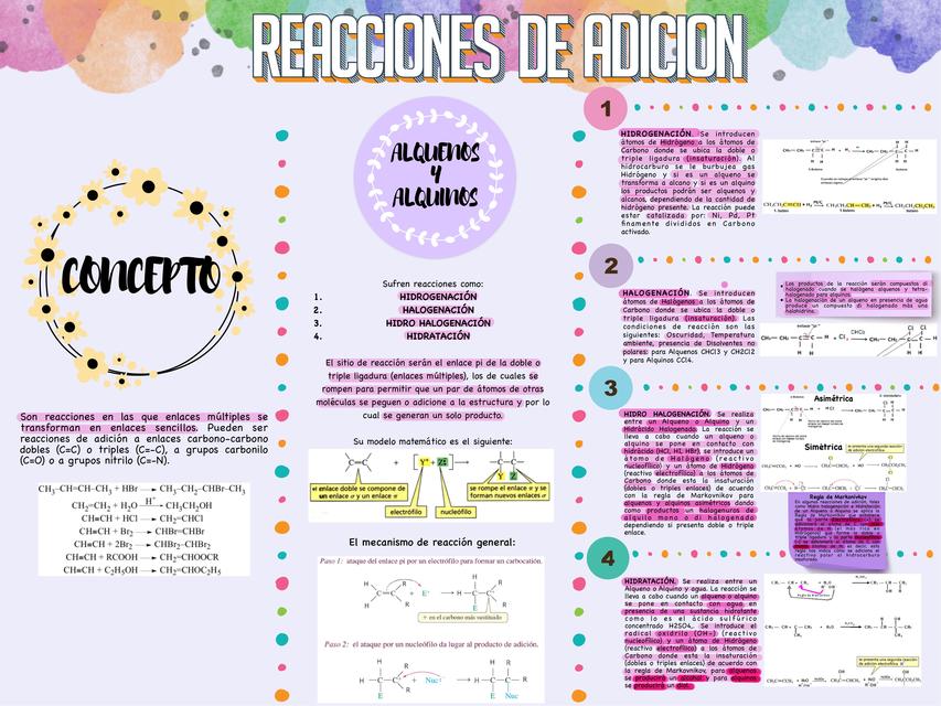 Reacciones De Adici N L Merveilleu X Udocz