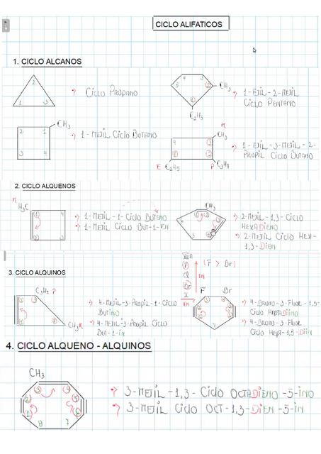 Ciclo Alifáticos Patricia Del Carpio uDocz