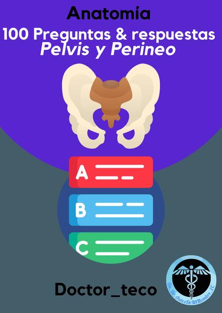 Flashcards Anatomia Netter Pelvis Y Perineo Udocz Anatomia Images