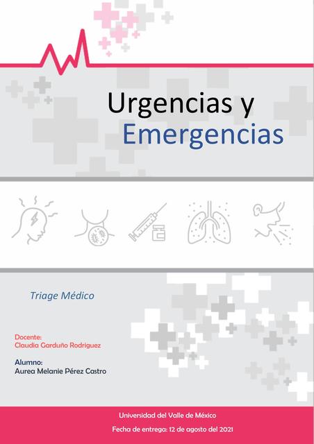 Triage Melany Castro UDocz