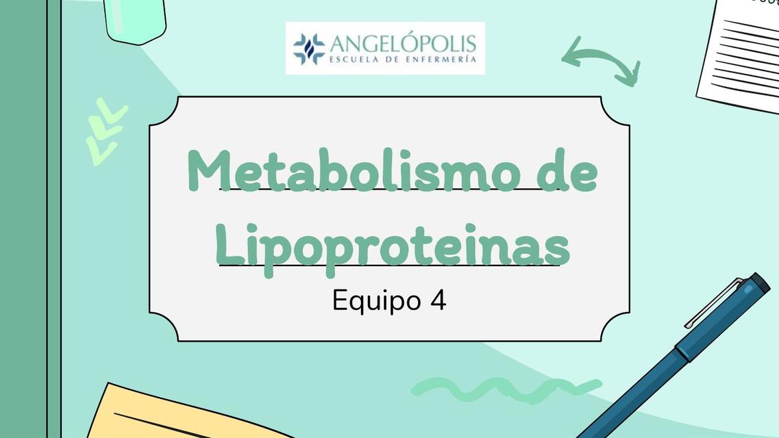 Metabolismo De Lipoprote Nas Ana Negrero Udocz