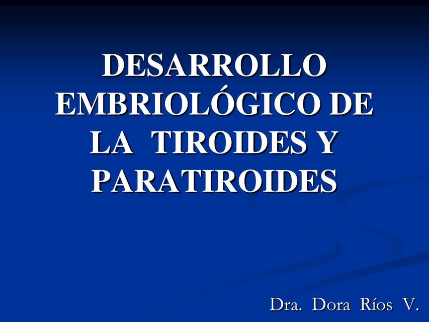 Desarrollo Embriol Gico De La Tiroides Modo Estudiante Mehu Udocz