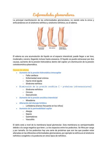 Enfermedades Glomerulares Camila Carmona UDocz